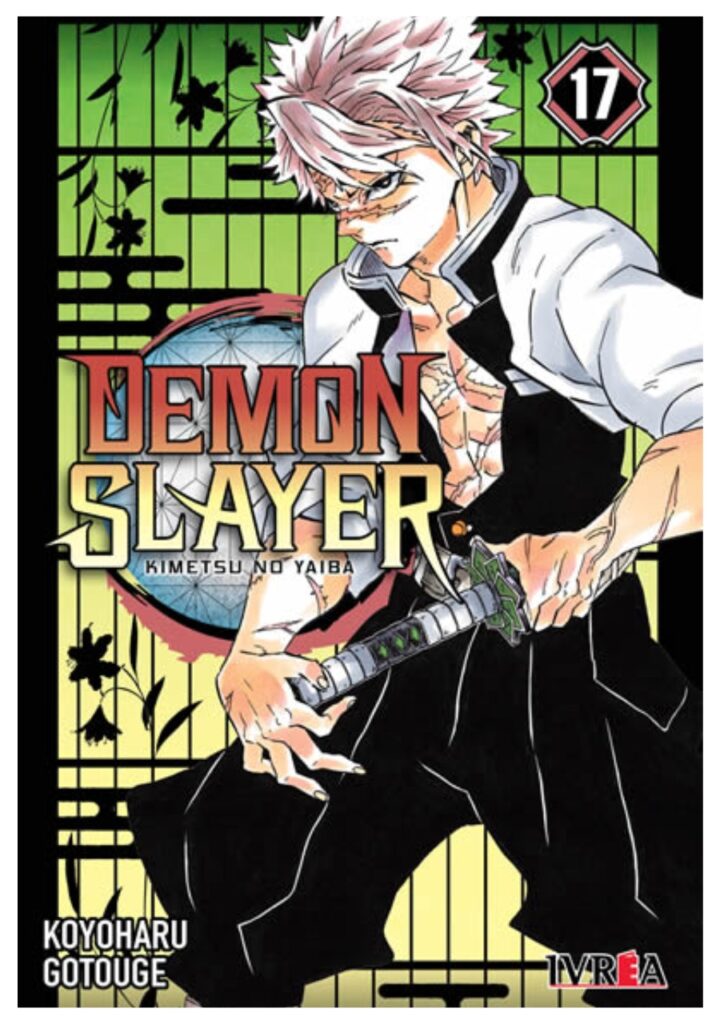 Demon Slayer - Kimetsu No Yaiba 17