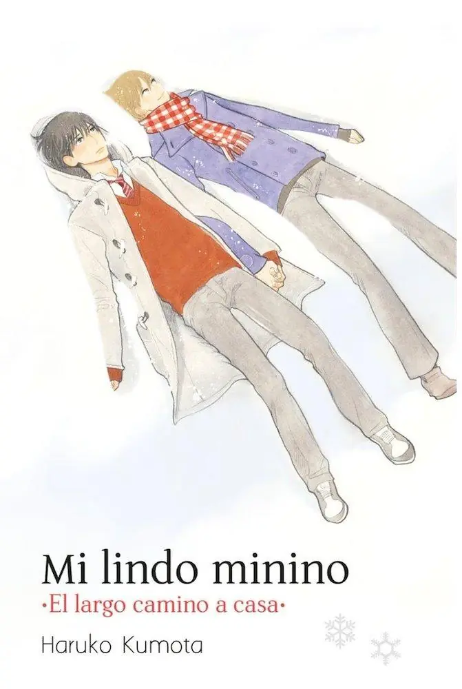 Mi Lindo Minino El Largo Camino A Casa