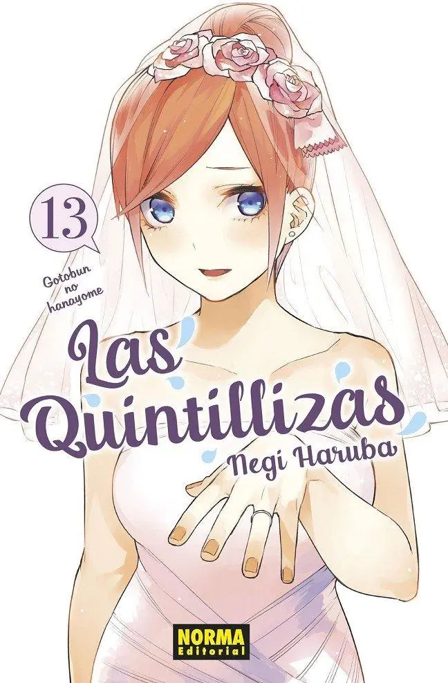 Las Quintillizas 13 - Editorial Norma