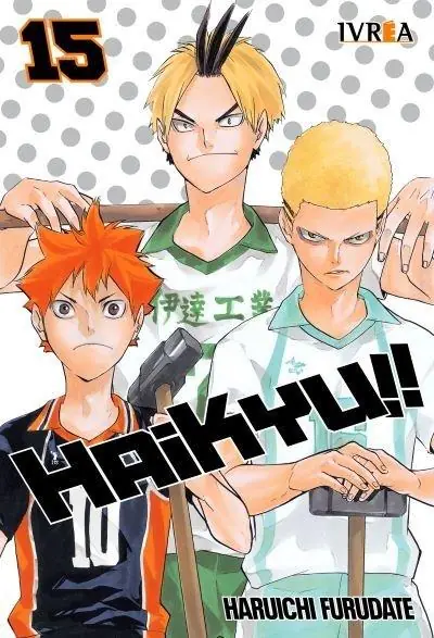 Haikyuu 15 - Ivrea Argentina