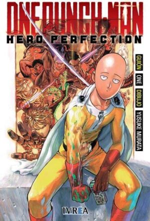 One Punch Man Hero Perfection