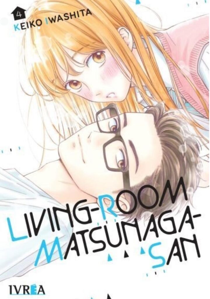Living Room Matsunaga San 04
