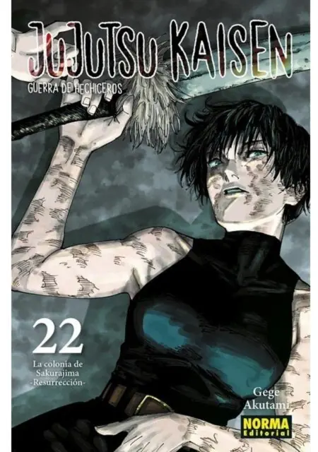 Jujutsu Kaisen 22 - Editorial Norma