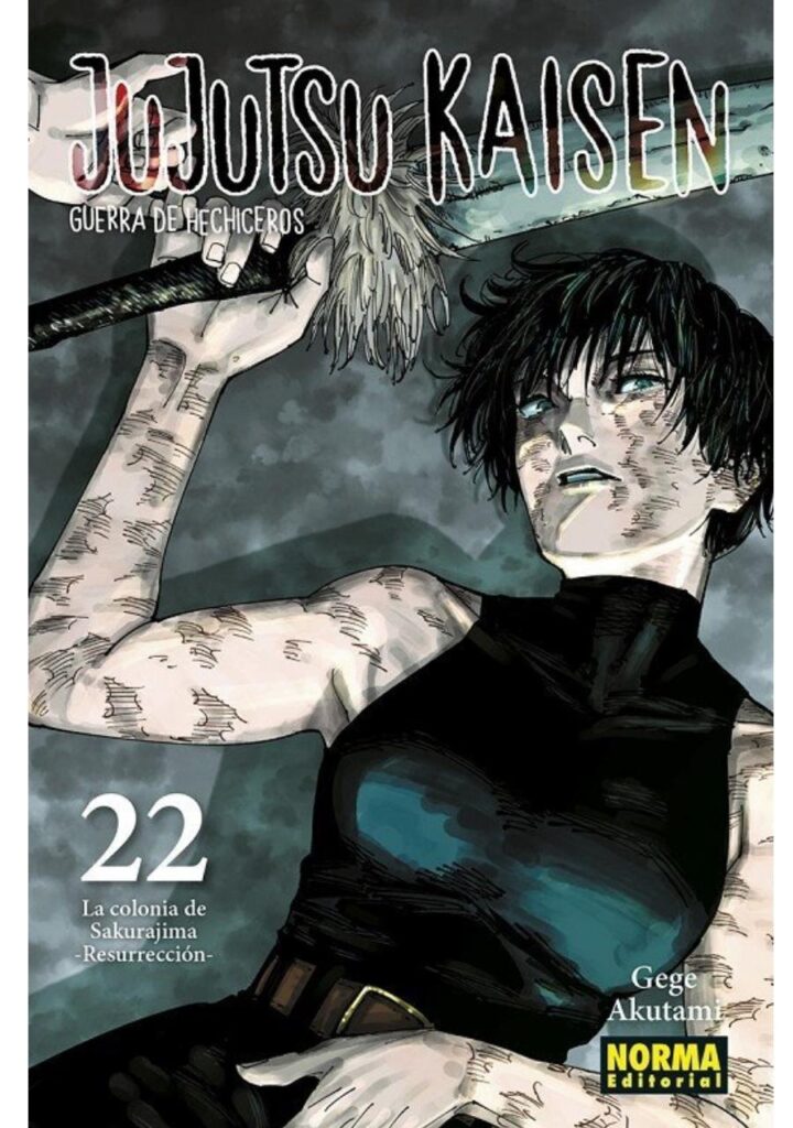 Jujutsu Kaisen 22 - Editorial Norma