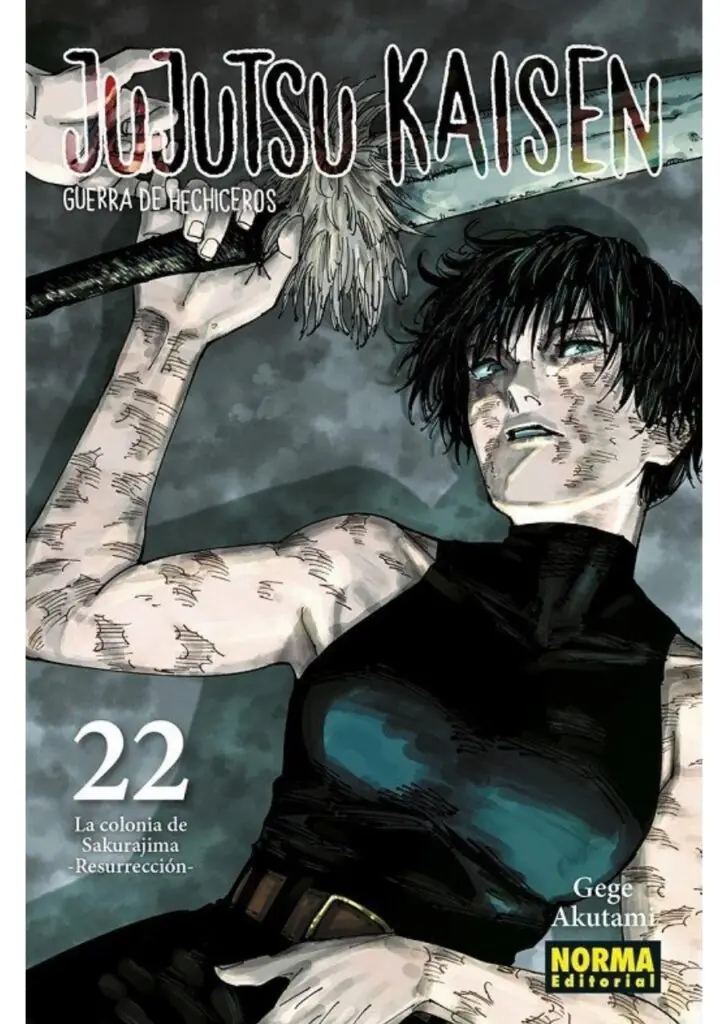 Jujutsu Kaisen 22 - Editorial Norma