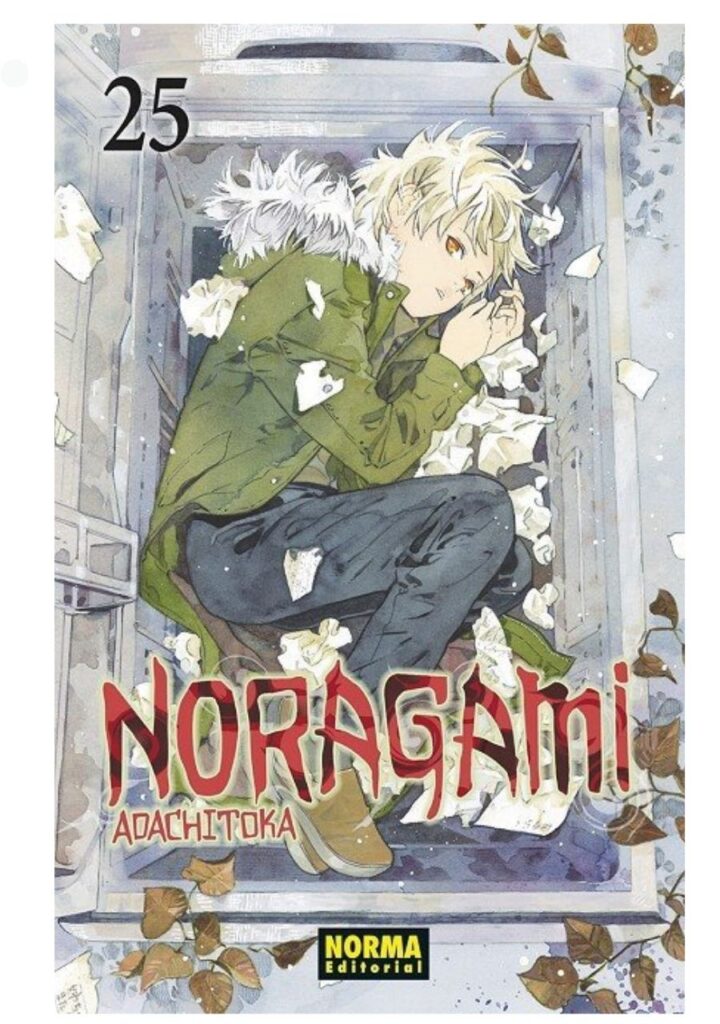Noragami 25 - Editorial Norma