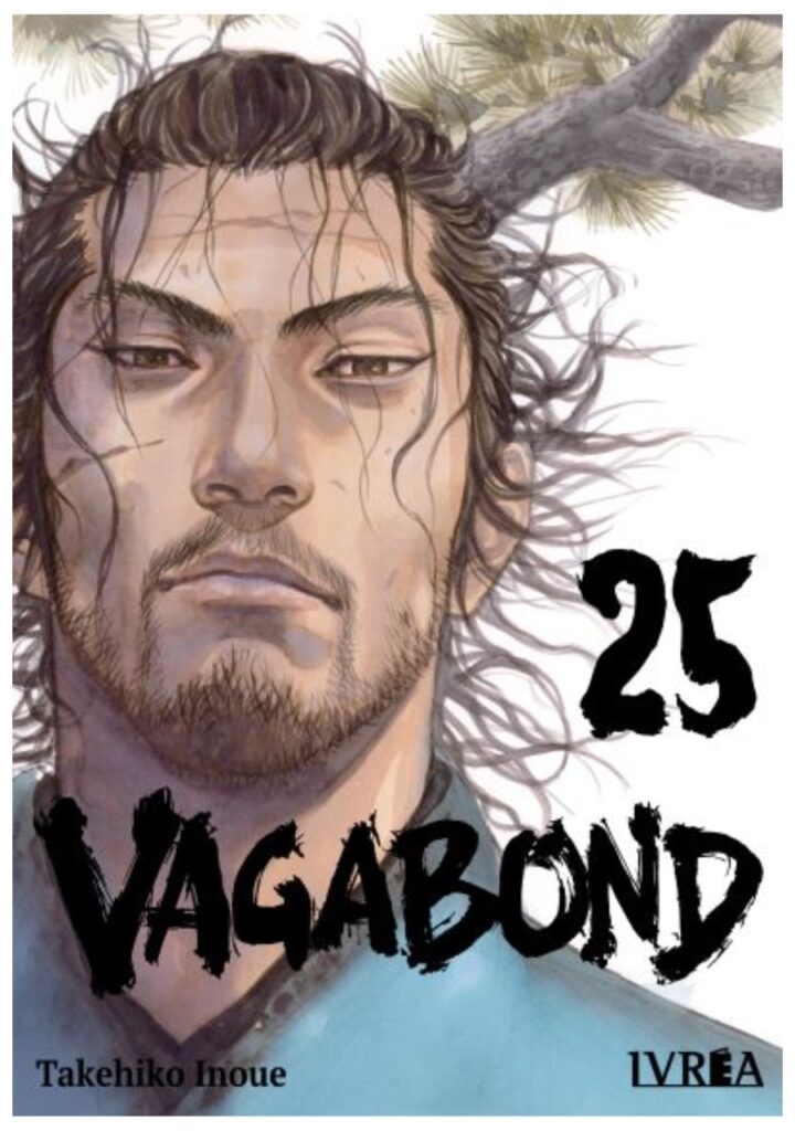 Vagabond 25 - Ivrea Argentina