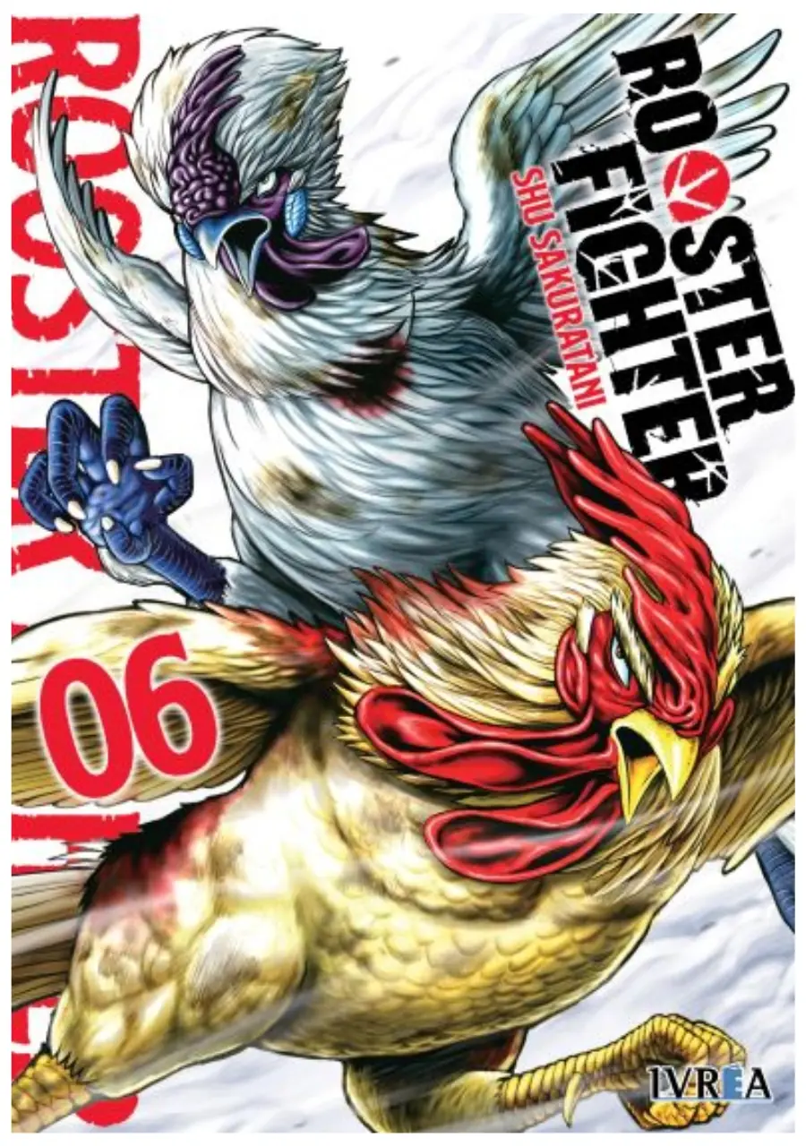 Rooster Fighter 06 - Ivrea España