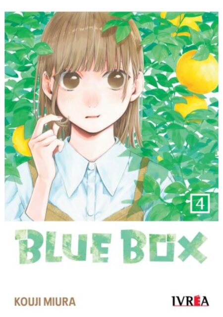 Blue Box 04 - Ivrea Argentina