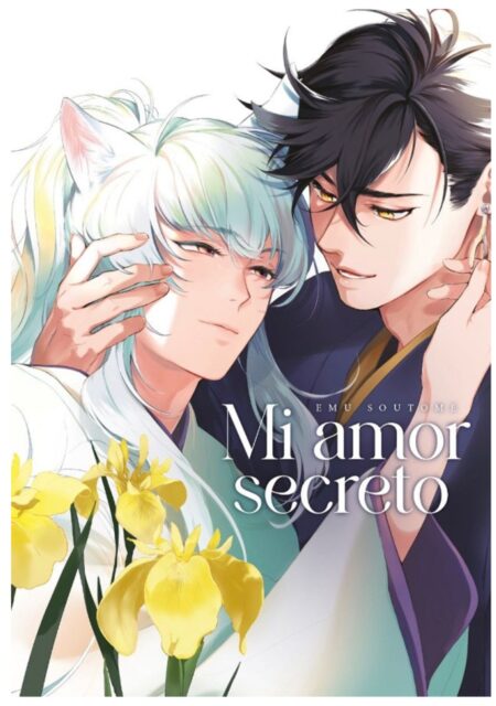 Mi Amor Secreto - Arechi Manga