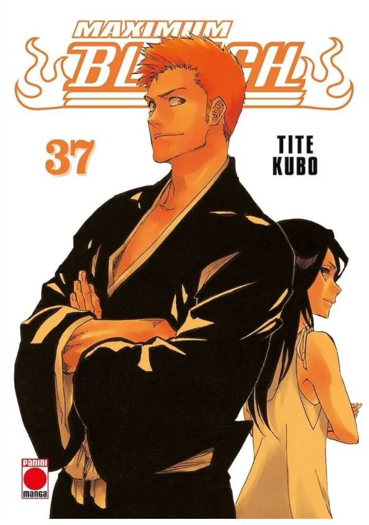 Bleach Maximum 37 - Panini Comic España