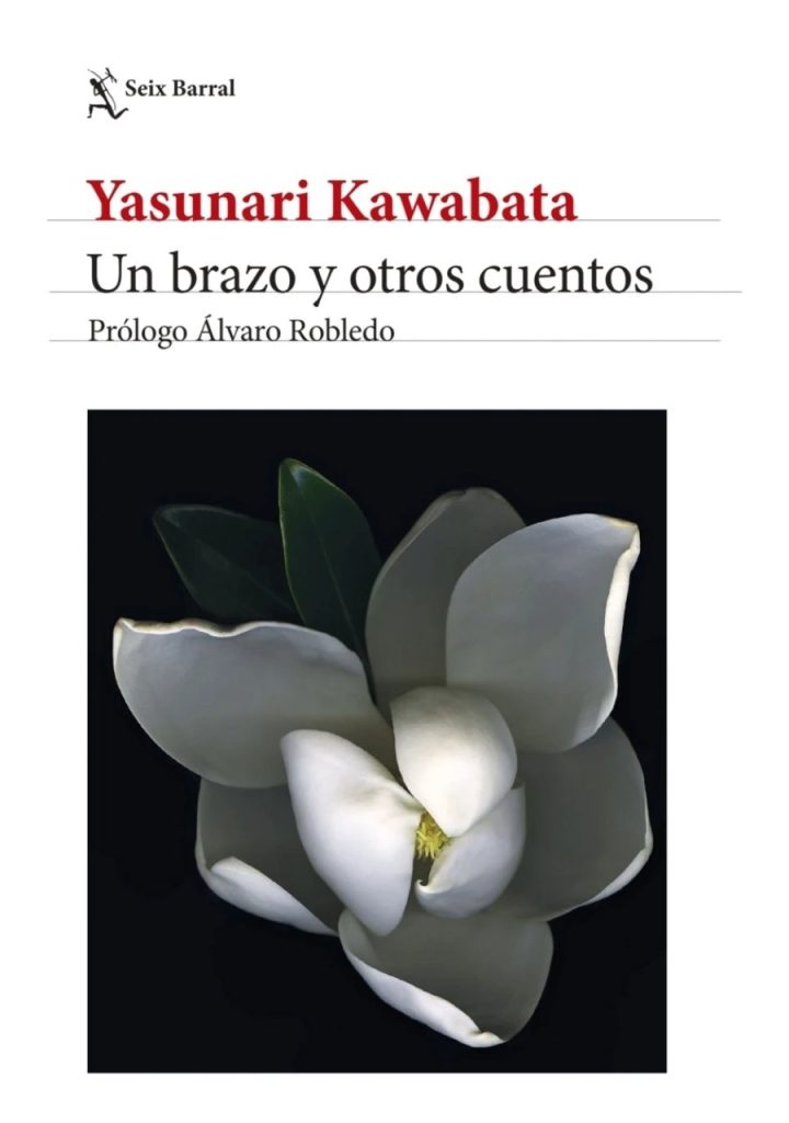 Un brazo y otros cuentos - Yasunari Kawabata