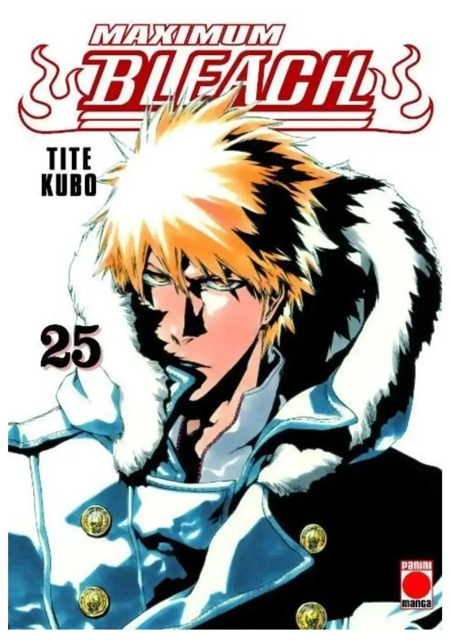 bleach-maximum-25-panini-comic-espana