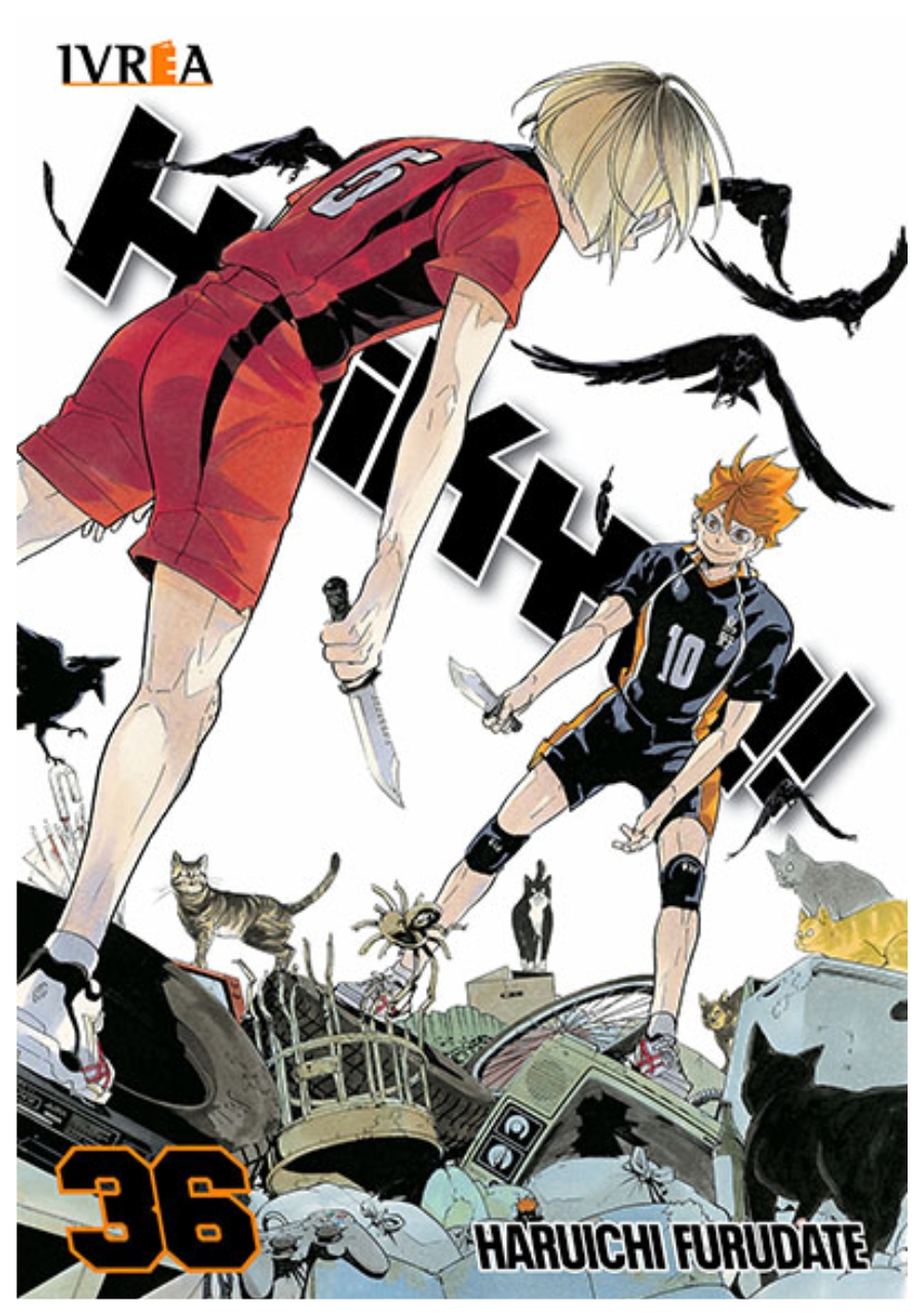 haikyuu-36-manga-ivrea-argentina