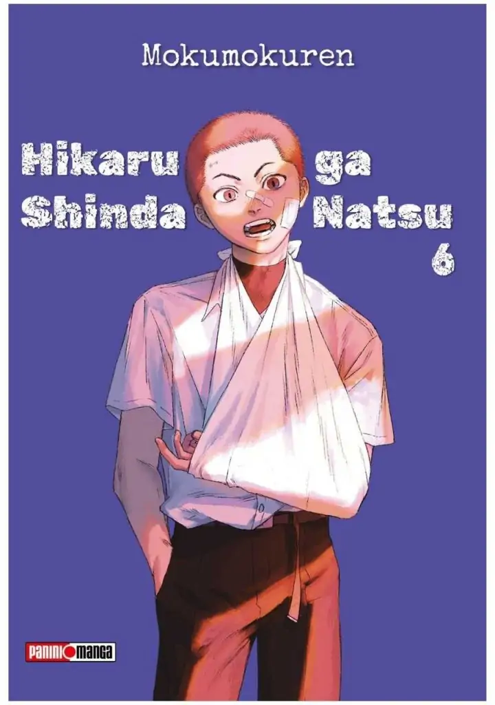 hikaru-ga-shinda-natsu-06-panini-argentina