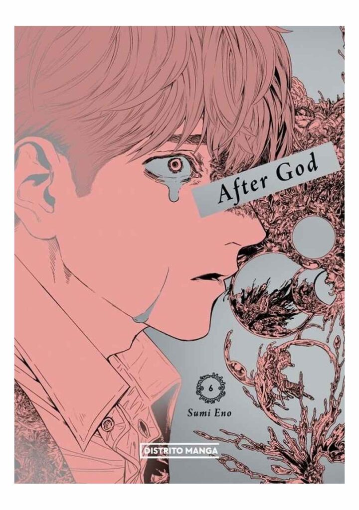 After God 06 - Distrito Manga España