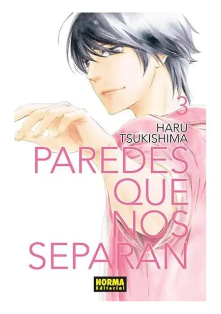Paredes que nos separan 03 - Norma