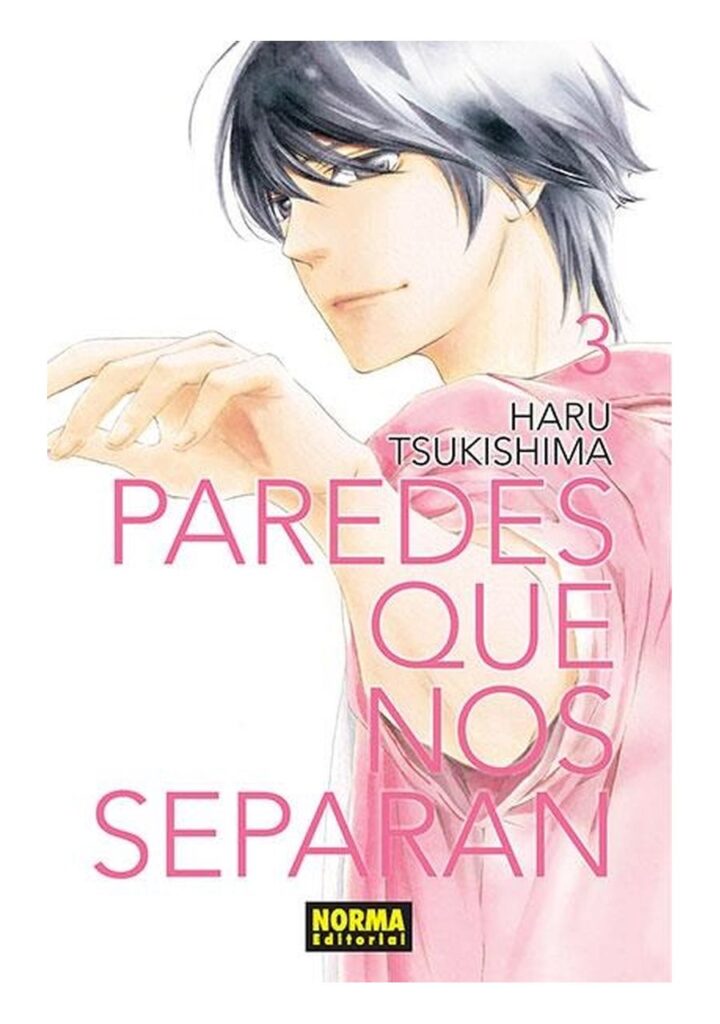 Paredes que nos separan 03 - Norma