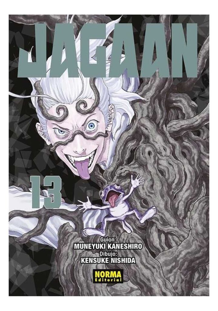 Jagaan 13 - Norma