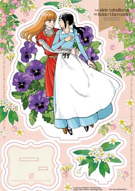 Los Siete Caballeros del Reino Marronnier 07 (Edición Especial con Acrílico) – Fandogamia