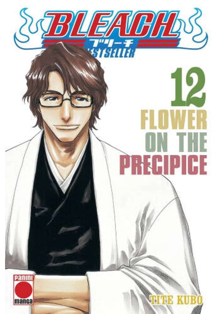 Bleach Bestseller 12 - Panini España