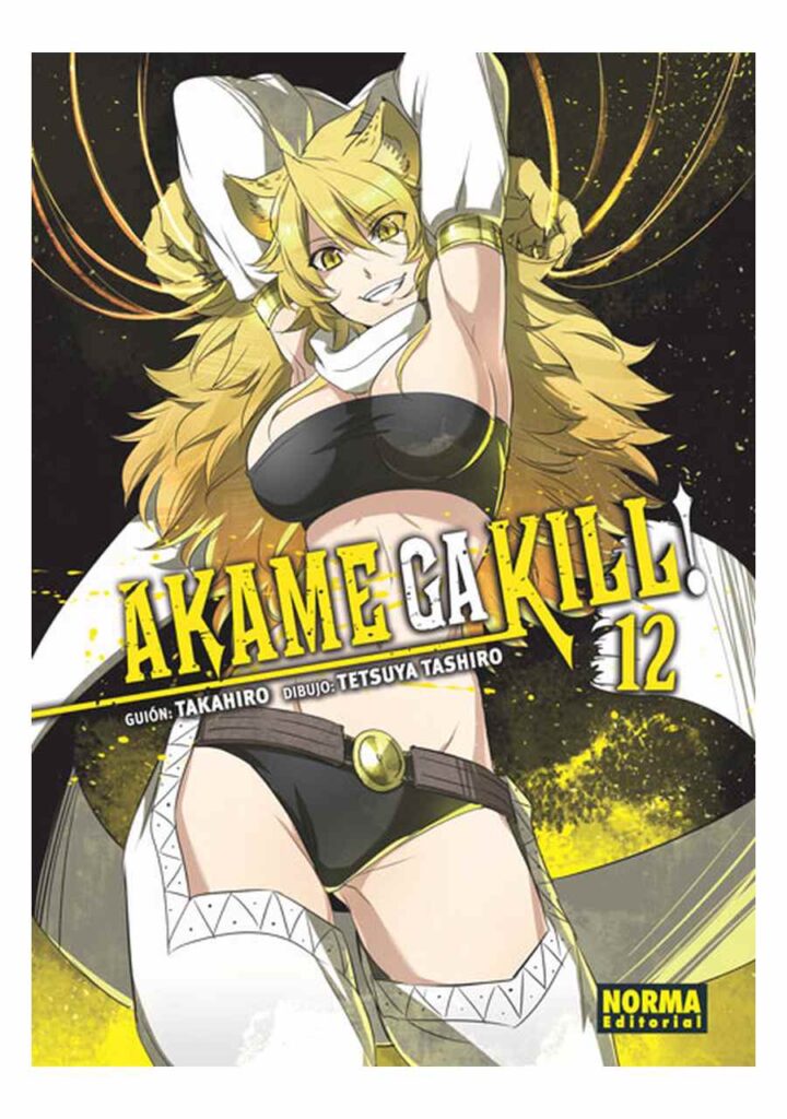 Akame Ga Kill! 12