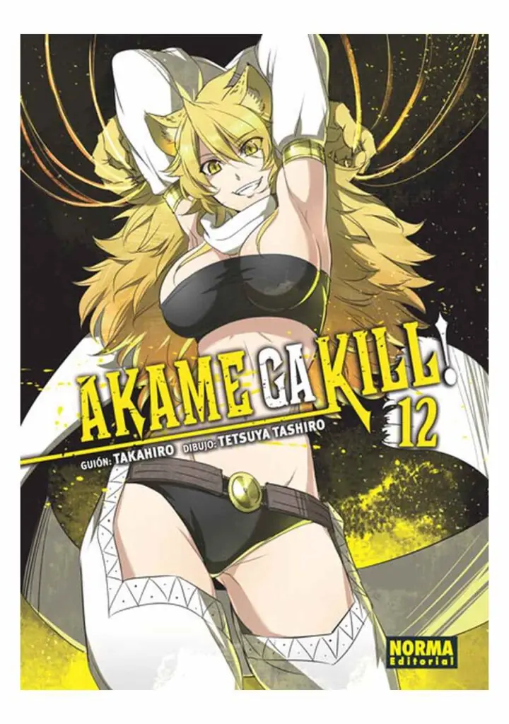 Akame Ga Kill! 12