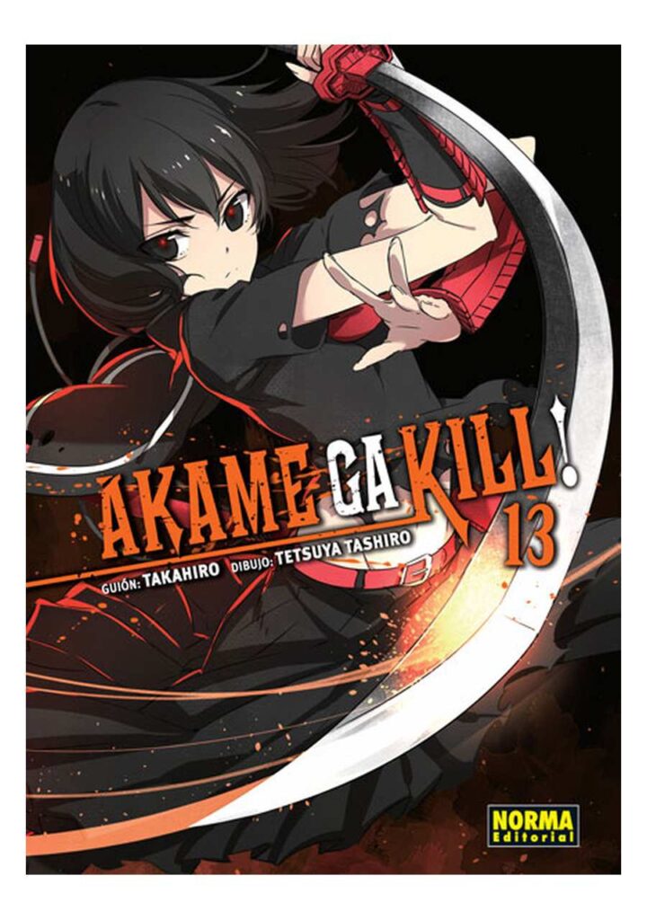Akame Ga Kill! 13