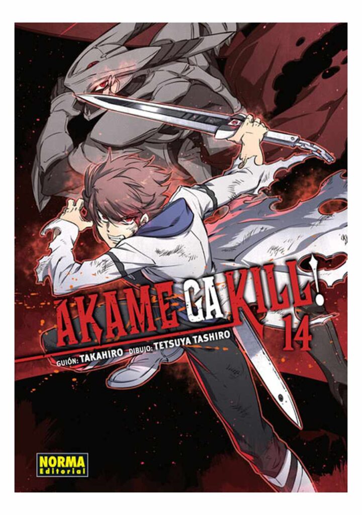 Akame Ga Kill! 14