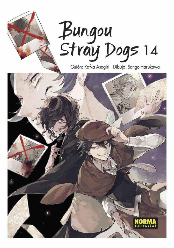 Bungou Stray Dogs 14