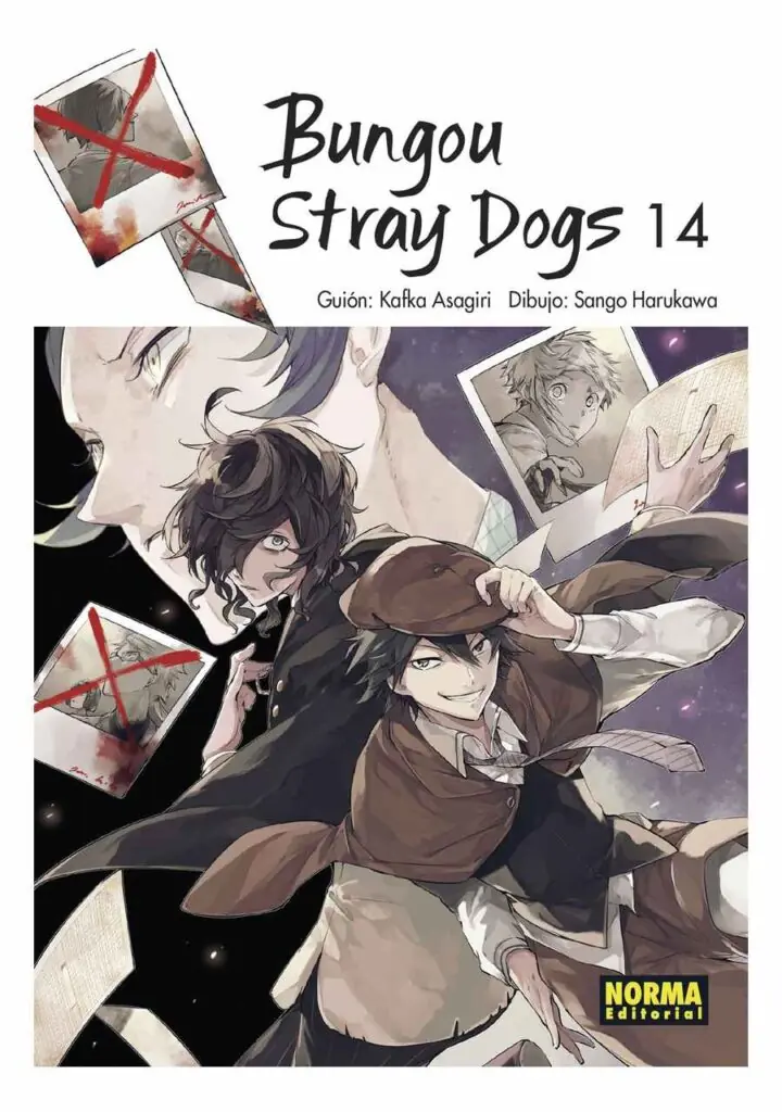 Bungou Stray Dogs 14