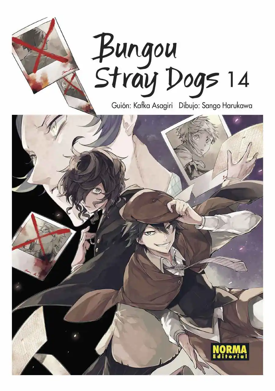 Bungou Stray Dogs 14