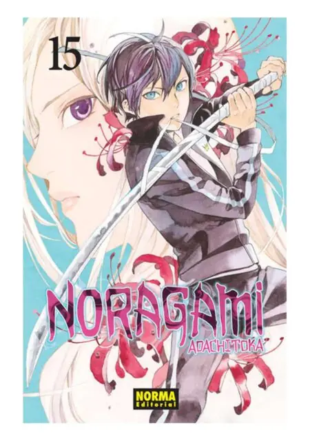 Noragami 15