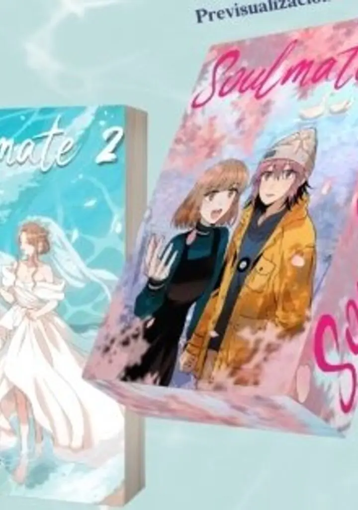 Soulmate Vol.2 + Estuche – Monogatari Novels