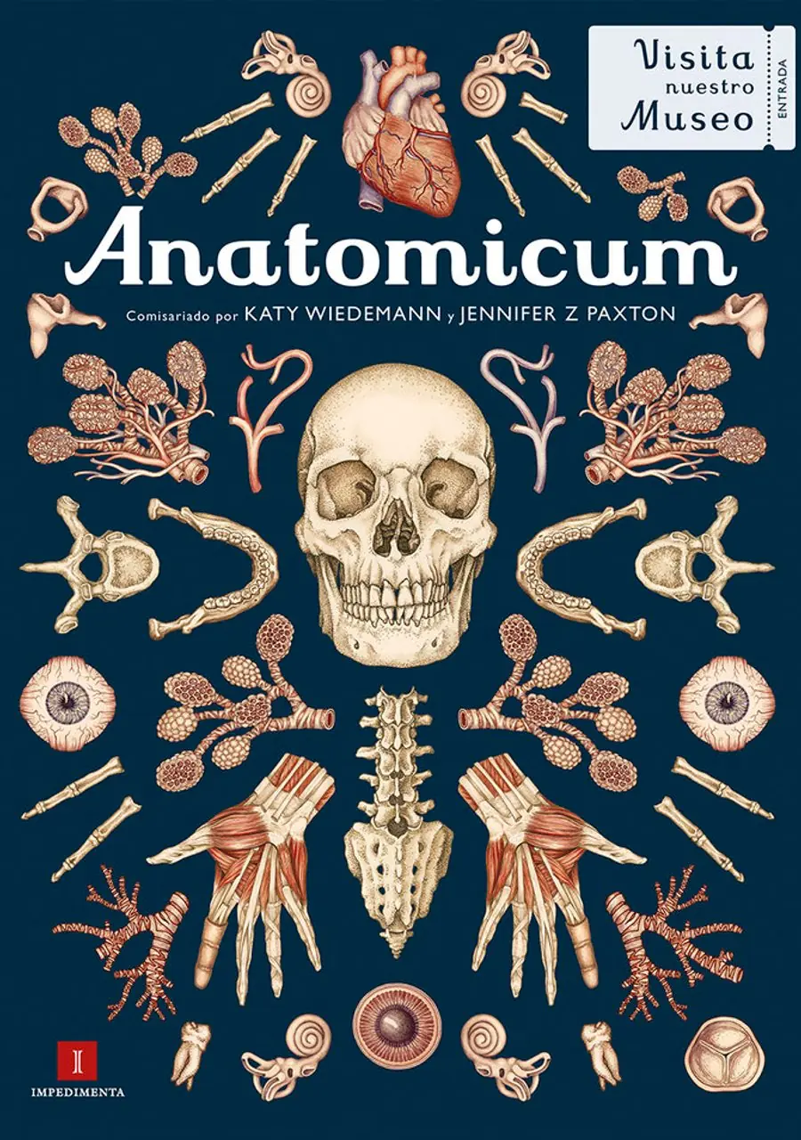 Anatomicum – Impedimenta