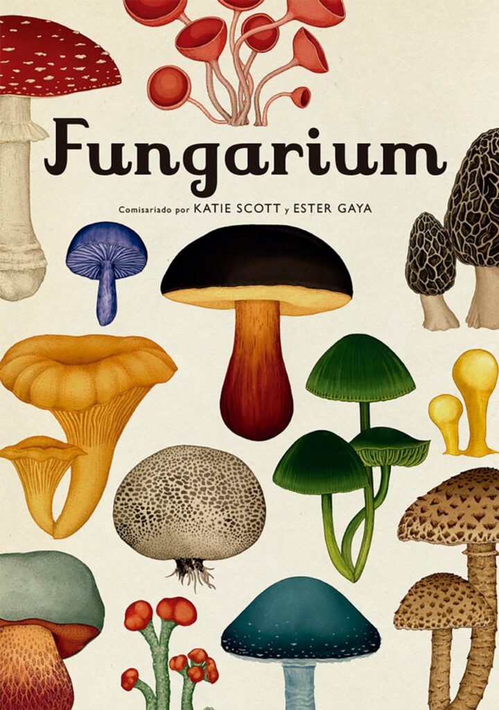 Fungarium – Impedimenta