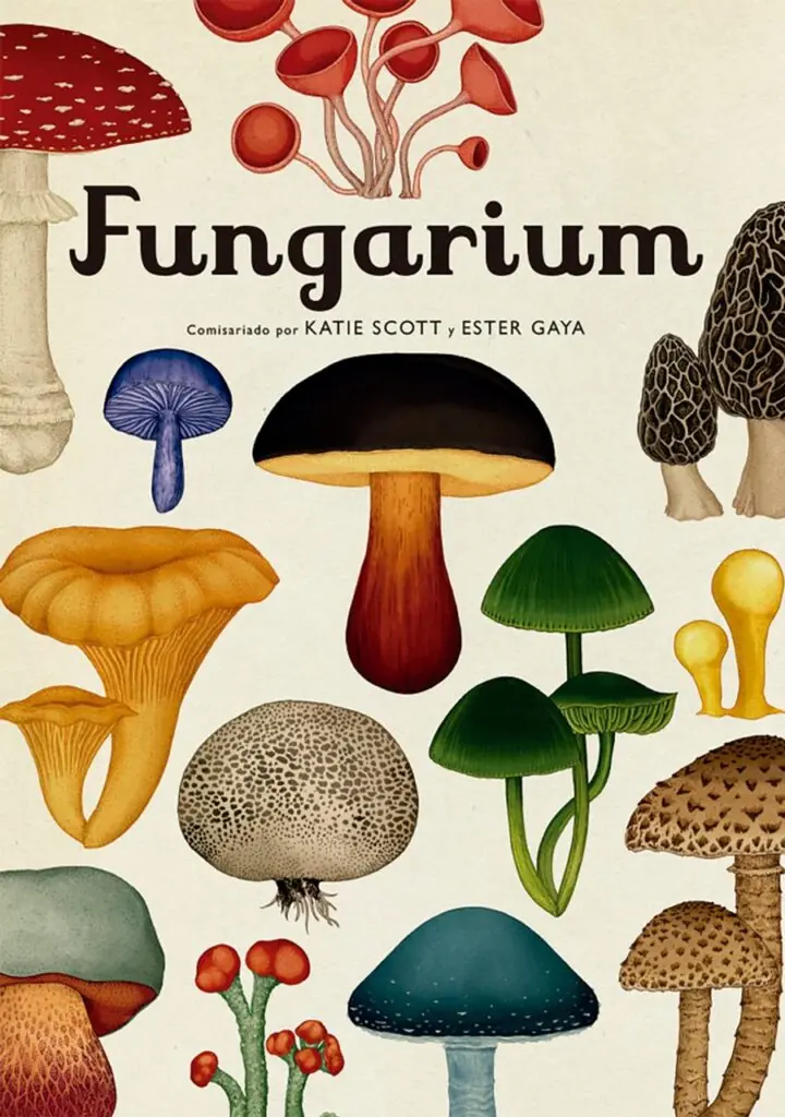 Fungarium – Impedimenta