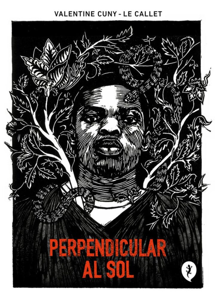 Perpendicular al sol – Salamandra