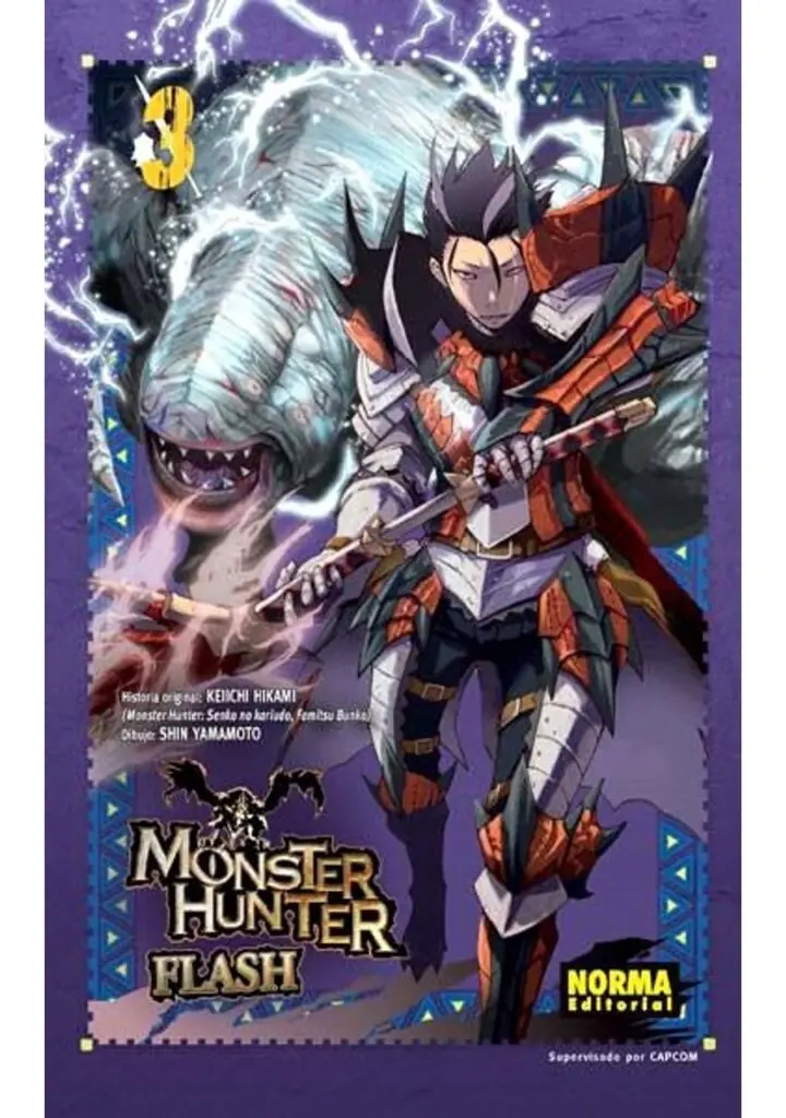 Monster Hunter Flash 03 – Norma