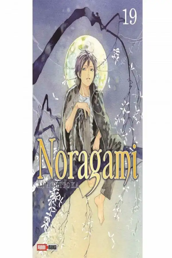 Noragami 19 - Panini Argentina
