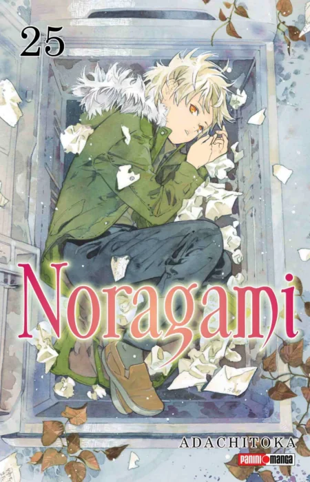 Noragami 25 - Panini Argentina